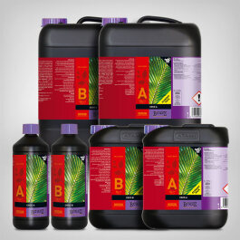 Atami Bcuzz Coco A und B, 1l-10l
