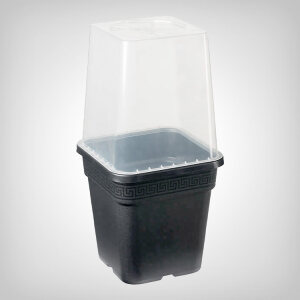 Mini greenhouse lid for plant pots, square