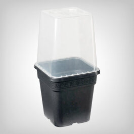 Mini greenhouse lid for plant pots, square