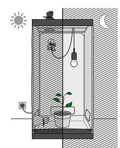 Growbox Lichtrythmus