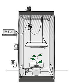 Growbox Lighting